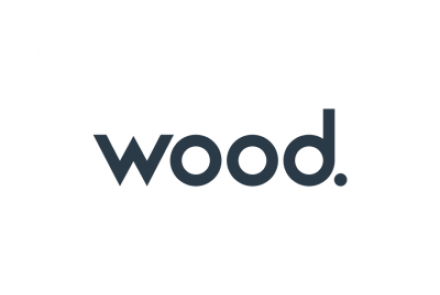 Logo Wood Ingeniería Wood Ingeniería en implementación IDEA StatiCa